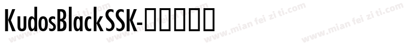 KudosBlackSSK字体转换
