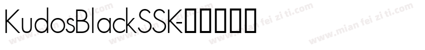 KudosBlackSSK字体转换