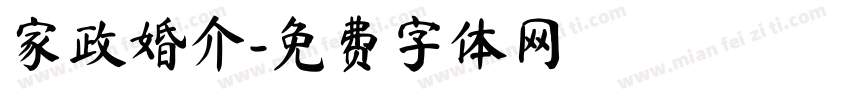家政婚介字体转换