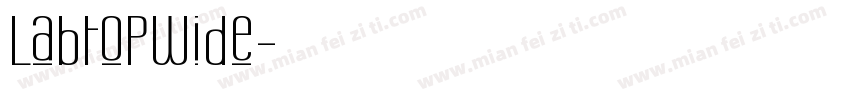 LabtopWide字体转换