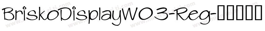 BriskoDisplayW03-Reg字体转换