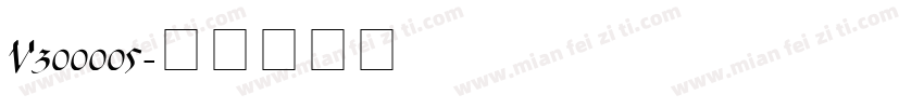 V300005字体转换