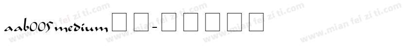 aab005medium字体字体转换