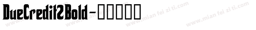 DueCredit2Bold字体转换