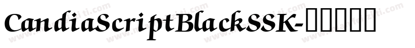 CandiaScriptBlackSSK字体转换