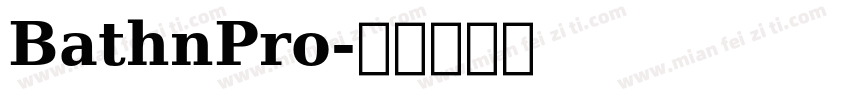 BathnPro字体转换