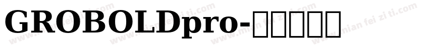 GROBOLDpro字体转换