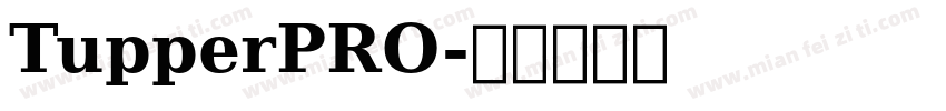 TupperPRO字体转换