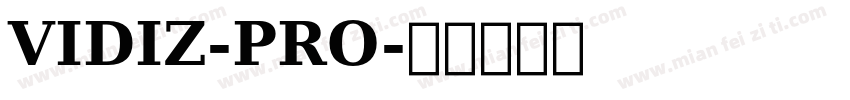 VIDIZ-PRO字体转换