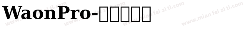 WaonPro字体转换