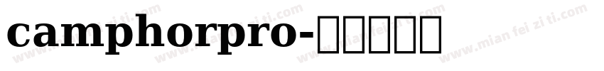 camphorpro字体转换
