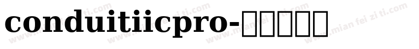 conduitiicpro字体转换