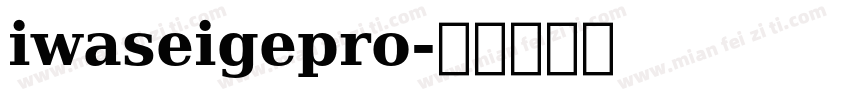 iwaseigepro字体转换