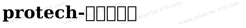 protech字体转换