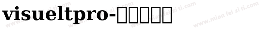 visueltpro字体转换