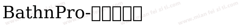 BathnPro字体转换