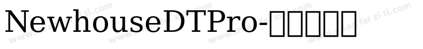 NewhouseDTPro字体转换