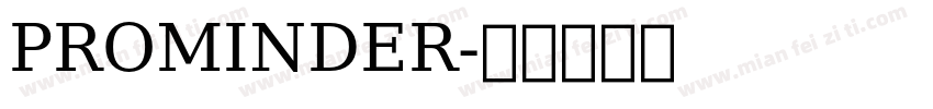 PROMINDER字体转换