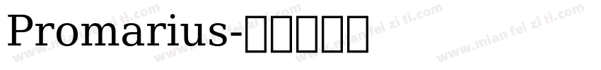 Promarius字体转换