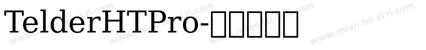 TelderHTPro字体转换