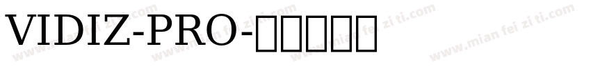 VIDIZ-PRO字体转换