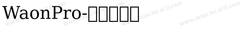 WaonPro字体转换