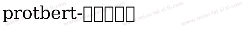 protbert字体转换