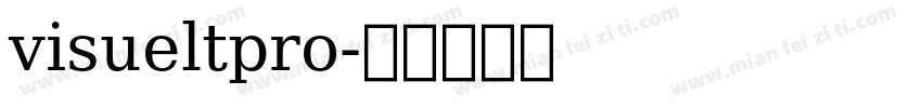 visueltpro字体转换