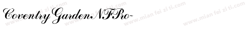CoventryGardenNFPro字体转换