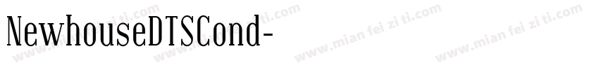 NewhouseDTSCond字体转换