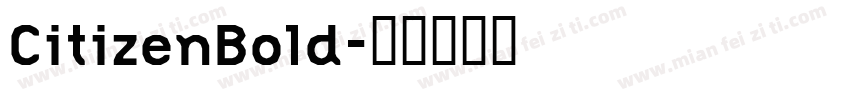 CitizenBold字体转换
