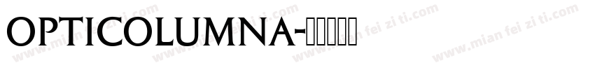 OPTIColumna字体转换