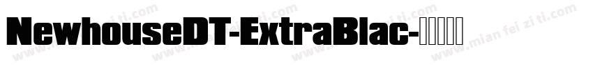NewhouseDT-ExtraBlac字体转换