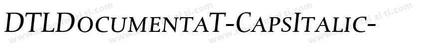 DTLDocumentaT-CapsItalic字体转换