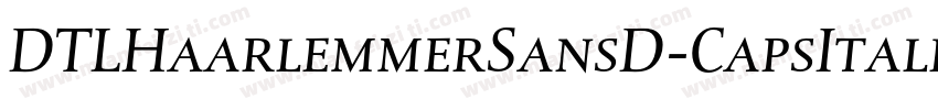 DTLHaarlemmerSansD-CapsItalic字体转换