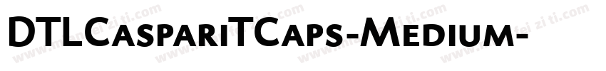 DTLCaspariTCaps-Medium字体转换