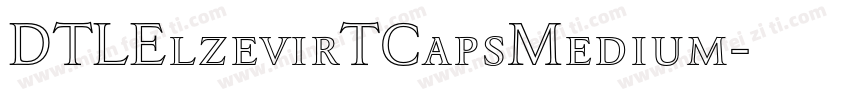 DTLElzevirTCapsMedium字体转换