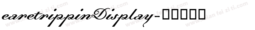 earetrippinDisplay字体转换