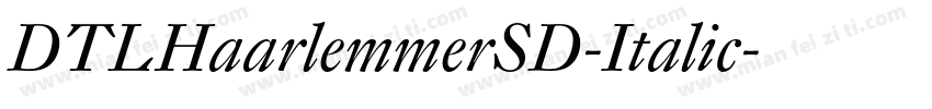 DTLHaarlemmerSD-Italic字体转换