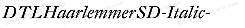 DTLHaarlemmerSD-Italic字体转换