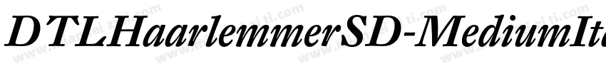 DTLHaarlemmerSD-MediumItalic字体转换
