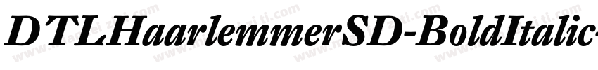 DTLHaarlemmerSD-BoldItalic字体转换