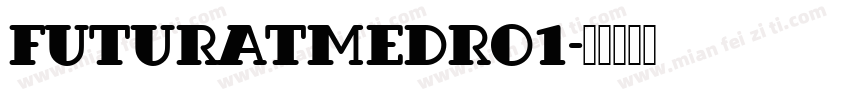 FuturaTMedRo1字体转换