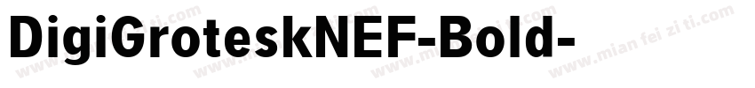 DigiGroteskNEF-Bold字体转换