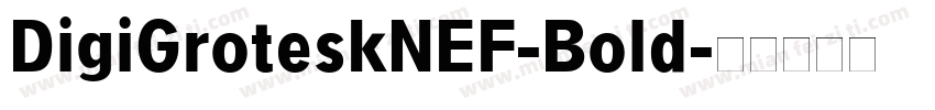 DigiGroteskNEF-Bold字体转换