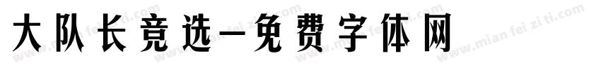 大队长竞选字体转换