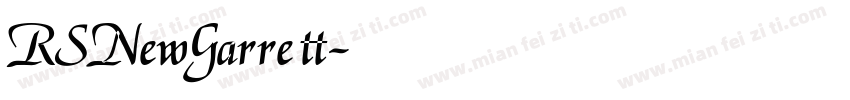 RSNewGarrett字体转换