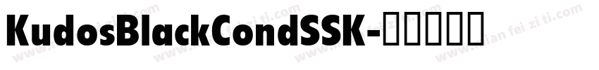 KudosBlackCondSSK字体转换