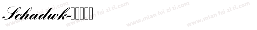 Schadwk字体转换