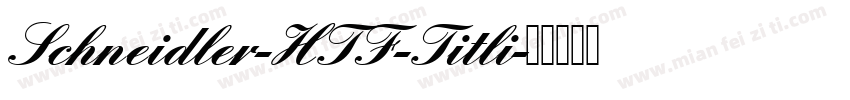 Schneidler-HTF-Titli字体转换